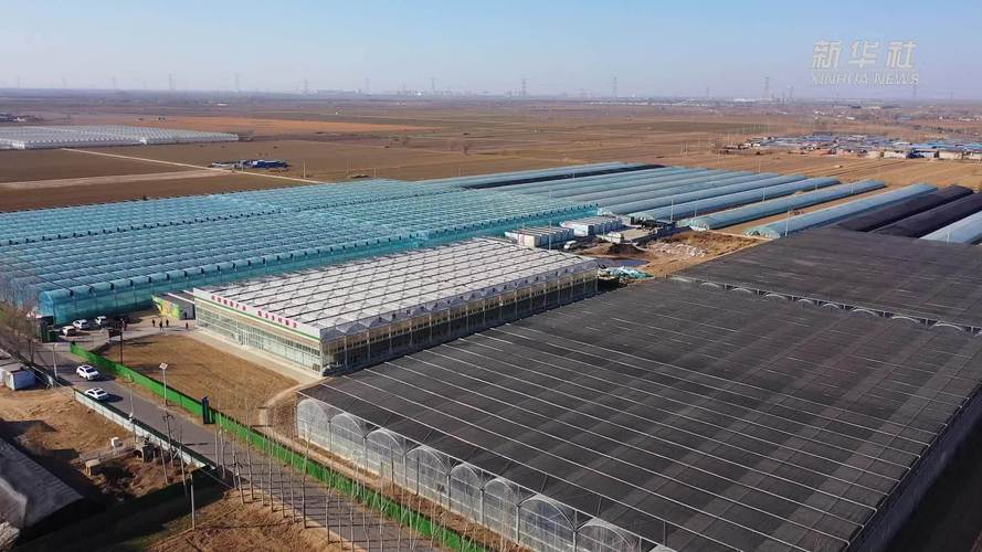河北滦州：打造新型环保建材产业集群 助推经济高质量发展