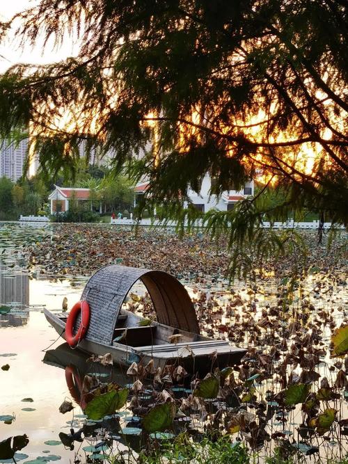 马銮湾惬意的生态年