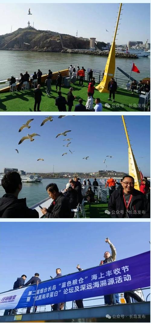 现代化海洋牧场装备产业创新论坛举行 科技赋能建设海上蓝色粮仓