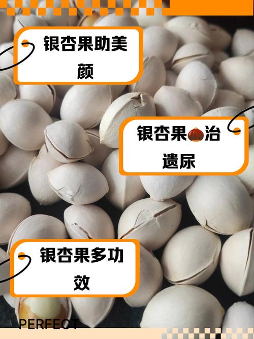 长期喝纯净水有害健康?食用银杏果能降脂降压?真相→