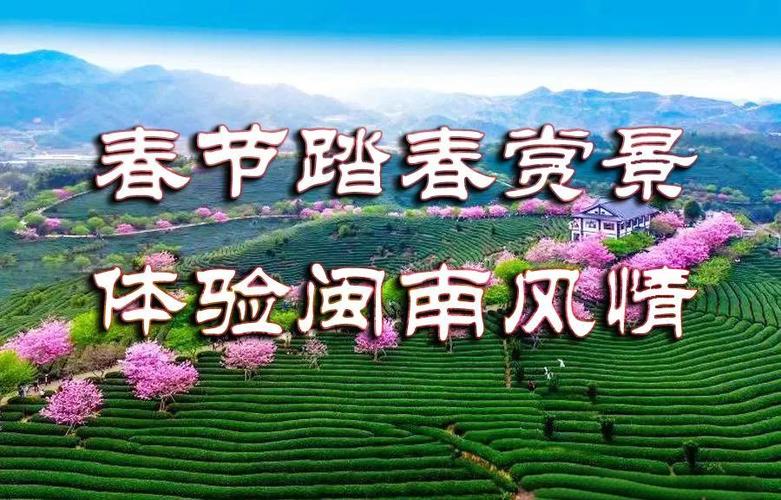 (新春走基层)在福建泉州寻觅“闽南美好生活”