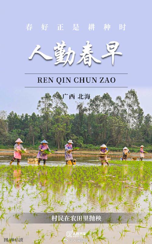 万象“耕”新不负春 春耕画卷由南向北次第展开