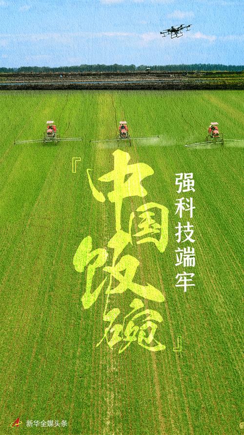 法护农业“芯片” 端牢“中国饭碗”