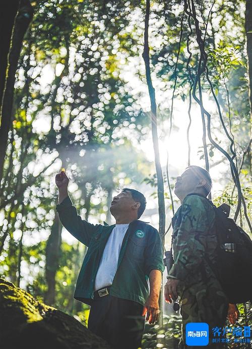 在海南,聆听万物共生的“和谐欢歌”