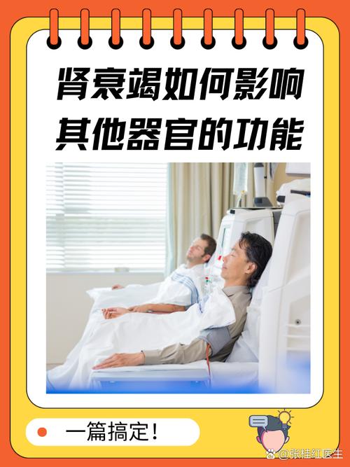 热到肾衰竭!杭州一医院半月接收15例因中暑导致肾脏损伤患者!