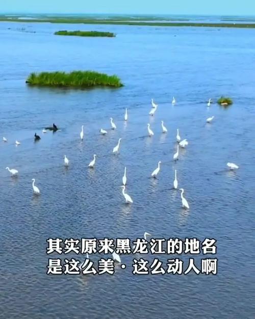 黑龙江8市地成功入夏 “常年无夏”黑河首先入夏