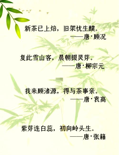茶香绕峻岭 山水载乡情(古道春秋)