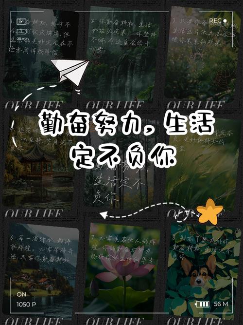细心耕耘散佚文献这片沃土