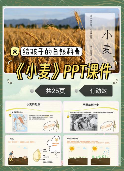 科技潜力转化为现实产量 探索小麦高产路径