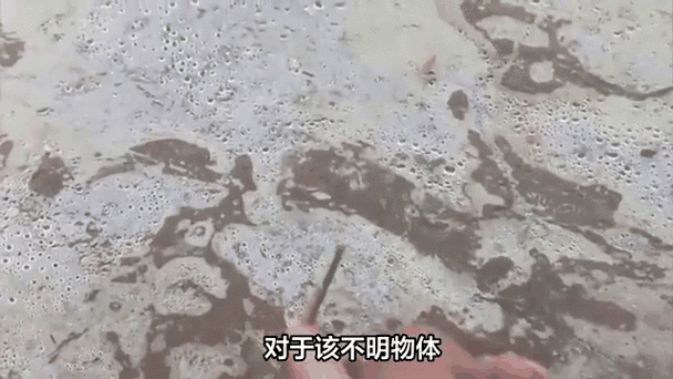 热搜!济南上空现疑似不明飞行物?网友热议