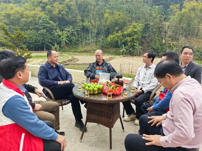 （乡村行·看振兴）南茶迁徙植江北 豫中山村变“茶乡”