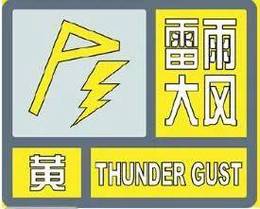 甘肃省陇南市发布雷雨大风黄色预警