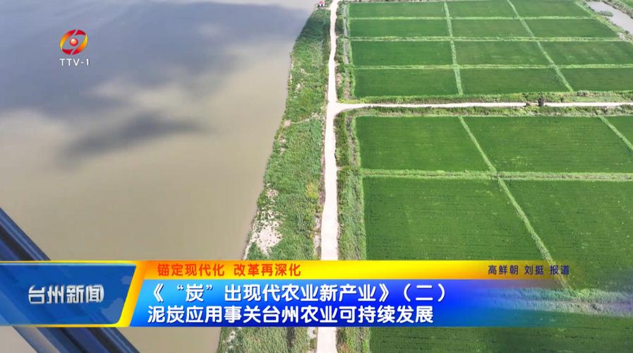 锚定现代化 改革再深化丨点“绿”成“金” 谱写绿色发展新篇章