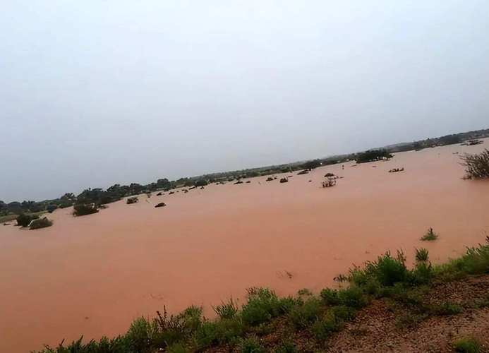 水从沙丘中冒出!罕见降雨致撒哈拉沙漠部分地区被淹
