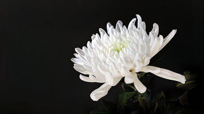 钟睒睒之母郭瑾去世,享年95岁