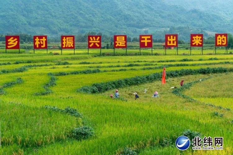 青海海东:193.52亿元厚植绿色发展金融根基