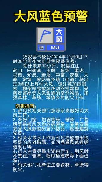 湖北省荆州市发布大风蓝色预警_3