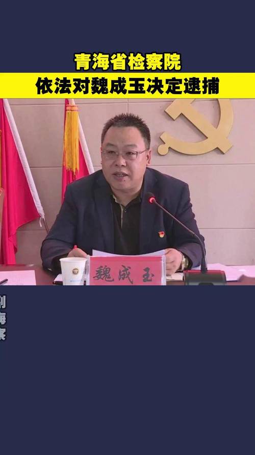 青海省海东市政府原党组成员魏成玉被“双开”