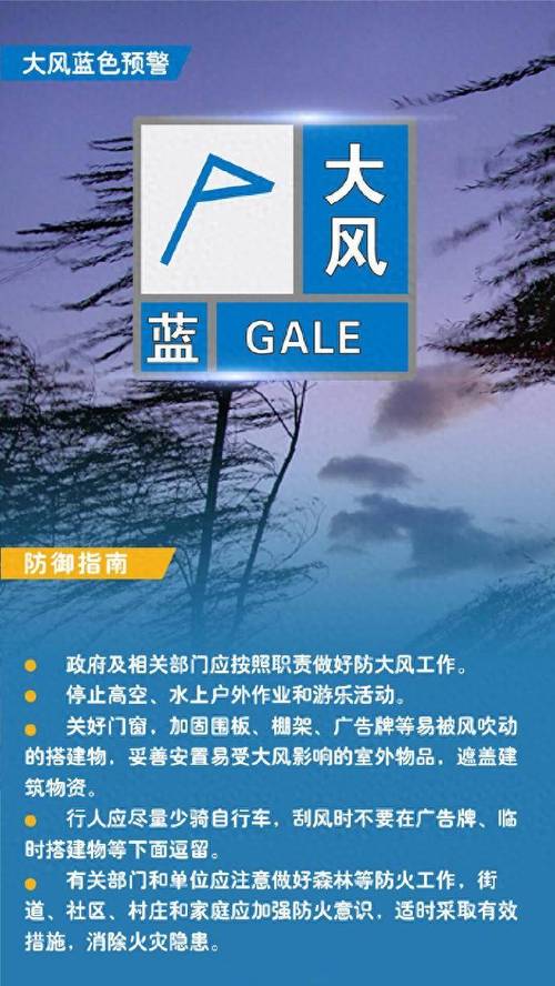 黑龙江省鸡西市发布大风蓝色预警_5