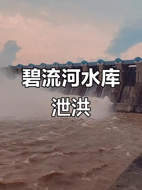 株洲水利部门调度69座水库有序泄洪