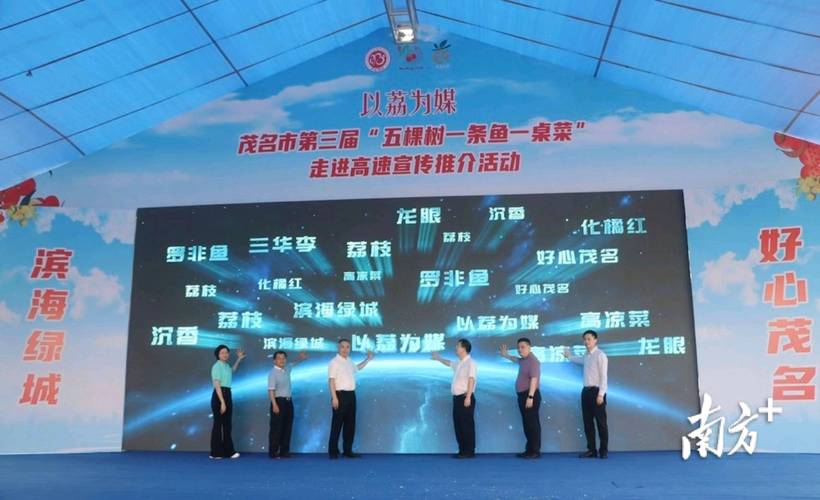 (乡村行 看振兴)“金溪归来不看村”:返乡青年为古村注入新活力