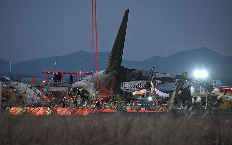 韩国国土交通部:推测事故由飞机撞上鸟群引起