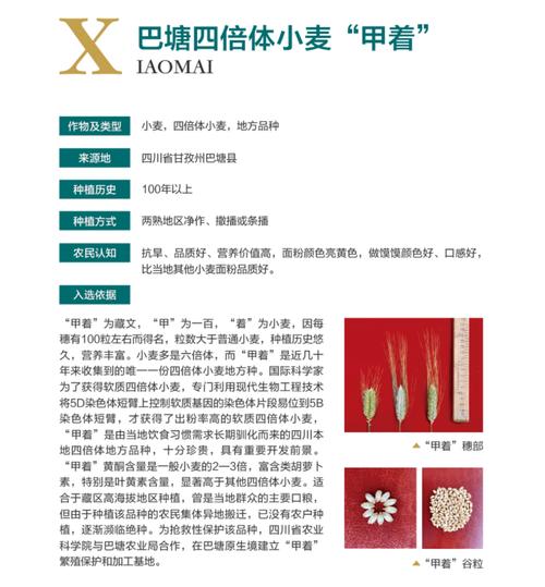 海南儋州鸡入选!农业农村部遴选推介205个全国农业优异种质资源