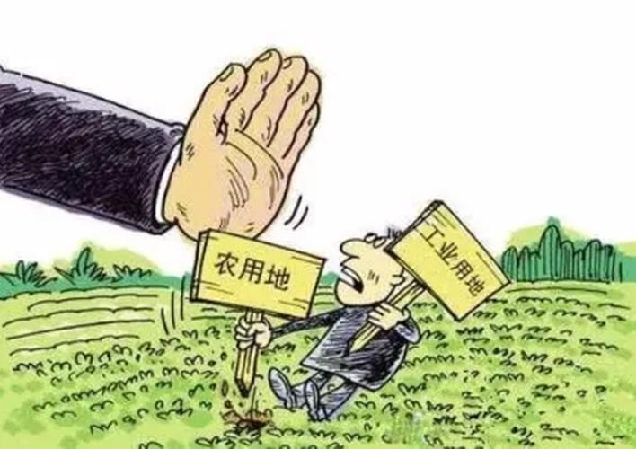 严惩非法占用农用地犯罪