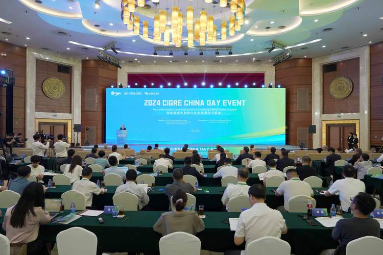 国际大电网“中国日”首次在深举办
