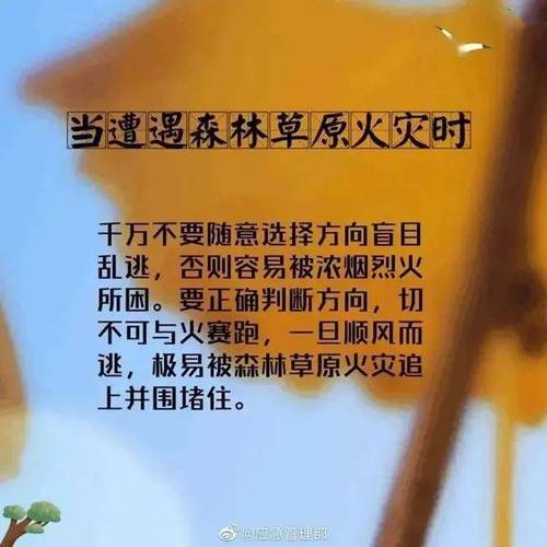 云南省江城哈尼族彝族自治县发布森林火险橙色预警