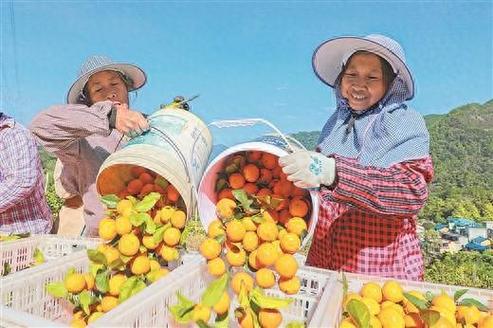 (身边的变化)闽北瓜果飘香 采摘品尝正当时