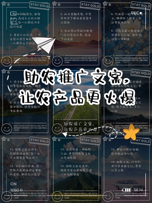 让农产品出山进城更高效畅通(快评)