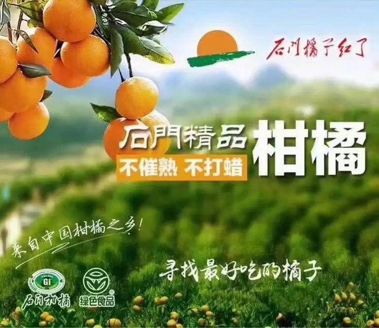 （聚焦中国高质量发展）湖南石门：智能工厂精准布“橘” 56年果香海外