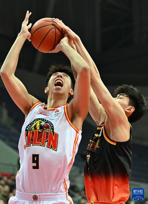 篮球——CBA常规赛：江苏肯帝亚不敌辽宁本钢
