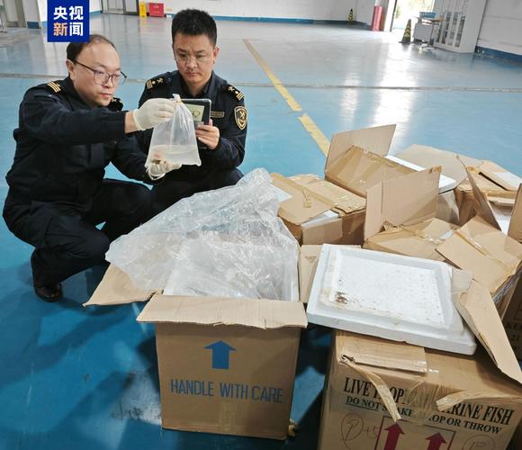 长春邮局海关查获濒危动物制品16件