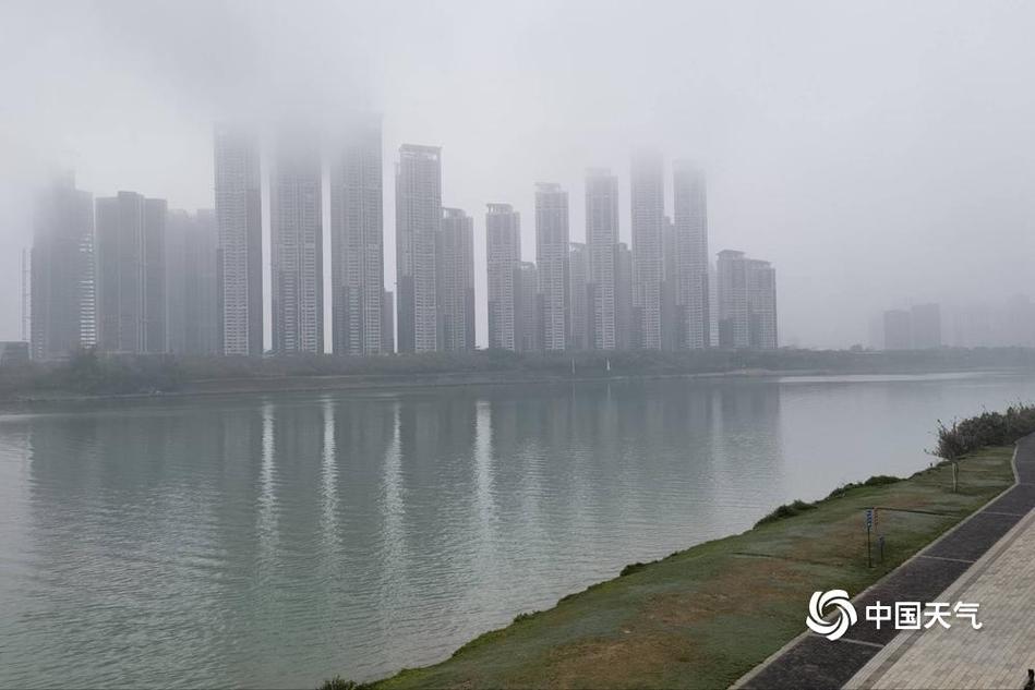 部分地区能见度不足200米!我国多地将有大雾天气 详情→