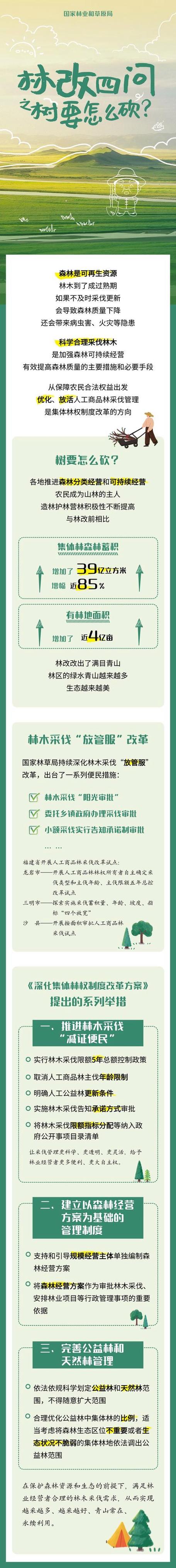 广东再发总林长令:全面深化集体林权制度改革